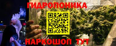 альфа пвп Славгород