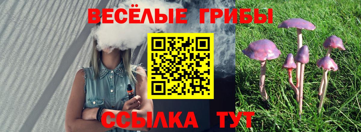 Арсеньев  Галлюциногенные грибы Psilocybe  Вход с VPN 