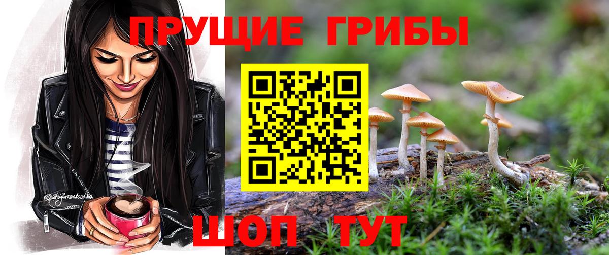 Псилоцибиновые грибы GOLDEN TEACHER Арсеньев
